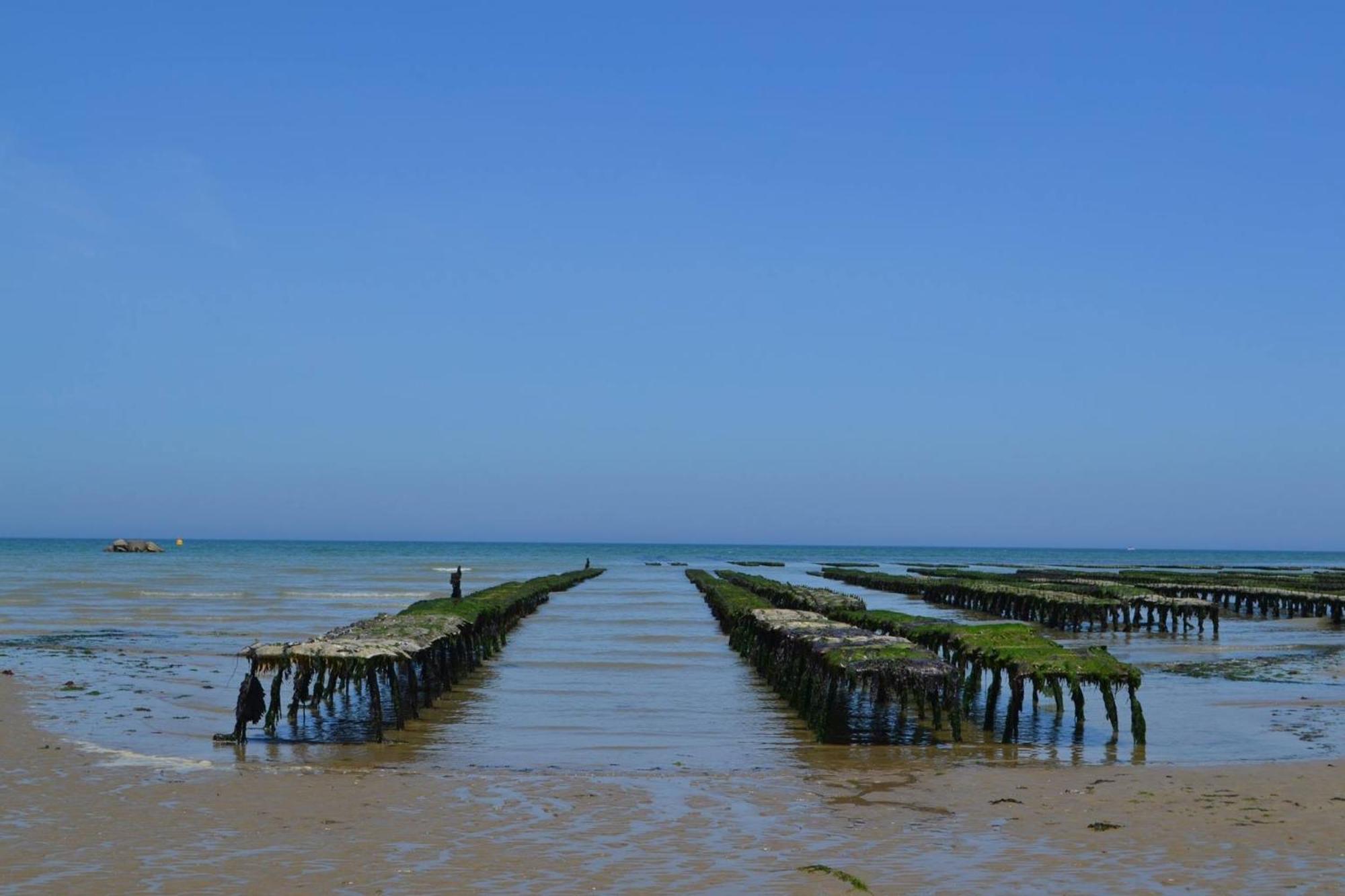 Les Pommiers Duplex Cosy Tout Confort Dans Maison Neuve Avec Terrasse Entree Independante 5 Mn De Bayeux Et 10 Mn Plage Du Debarquement Sommervieu Экстерьер фото
